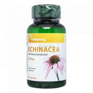 Vitaking Echinacea 250 mg kapszula 90 db kép