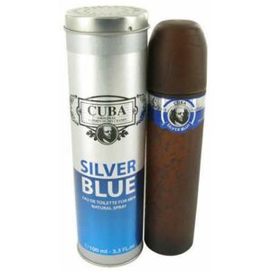 Silver Blue EDT 100 ml kép