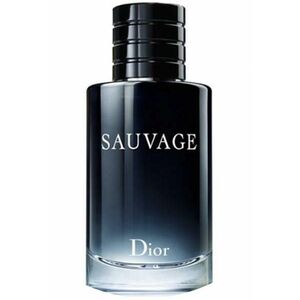Dior Dior Sauvage - EDT 100 ml kép