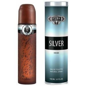 Silver for Men EDT 100 ml kép