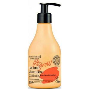 Hajhullás Elleni Professzionális Hajbalzsam-Kezelés - Hair Evolution Re-grow Natural Shampoo, 245 ml kép
