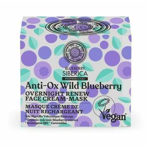 Regeneráló Antioxidáns Éjszakai Krém-Maszk Ceramidokkal és Q10-zel Anti-OX Wild Blueberry, 50 ml kép