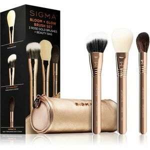 Sigma Beauty Brush Set Bloom + Glow smink egyet szett kép