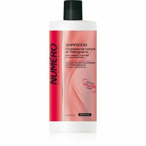 Brelil Professional Colour Protection Shampoo sampon festett hajra 1000 ml kép