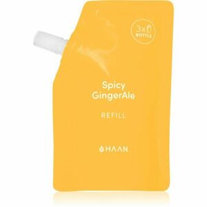 HAAN Hand Care Spicy GingerAle kéztisztító spray antibakteriális adalékkal utántöltő 100 ml kép