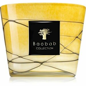 Baobab Collection Filo Oro illatgyertya 10 cm kép
