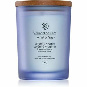 Chesapeake Bay Candle Mind & Body Serenity & Calm illatgyertya 250 g kép