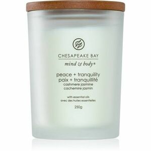 Chesapeake Bay Candle Mind & Body Peace & Tranquility illatgyertya 250 g kép