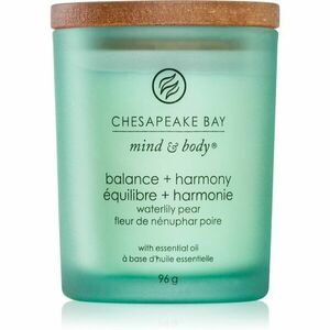 Chesapeake Bay Candle Mind & Body Balance & Harmony illatgyertya 96 g kép