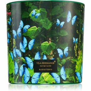 Vila Hermanos Jungletopia Blue Butterfly illatgyertya 620 g kép