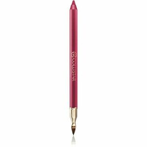 Collistar Professional Lip Pencil tartós szájceruza árnyalat 113 Autumn Berry 1, 2 g kép
