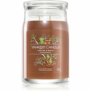 Yankee Candle Praline & Birch illatgyertya 567 g kép