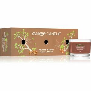 Yankee Candle Praline & Birch ajándékszett 3x37 g kép