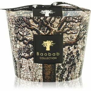 Baobab Collection Sacred Trees Morondo illatgyertya 10 cm kép