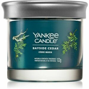 Yankee Candle Bayside Cedar illatgyertya I. 122 g kép