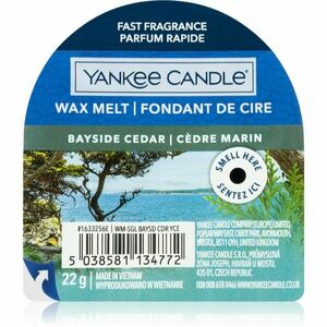 Yankee Candle Bayside Cedar illatos viasz aromalámpába 22 g kép