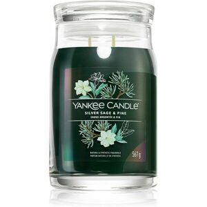Yankee Candle Silver Sage & Pine illatgyertya Signature 567 g kép