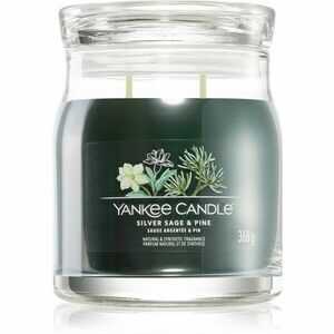 Yankee Candle Silver Sage & Pine illatgyertya Signature 368 g kép
