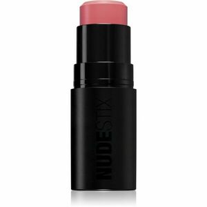 Nudestix Nudies Matte + Glow Core multifunkcionális smink a szemre, az ajkakra és az arcra árnyalat Pink Ice 6 g kép