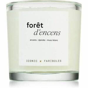 FARIBOLES Iconic Forest Incense illatgyertya 400 g kép