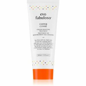 EVO Fabuloso Colour Boosting Treatment haj maszk a hajszín élénkítéséért árnyalat Copper 220 ml kép