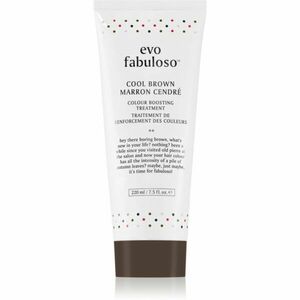 EVO Fabuloso Colour Boosting Treatment haj maszk a hajszín élénkítéséért árnyalat Cool Brown 220 ml kép