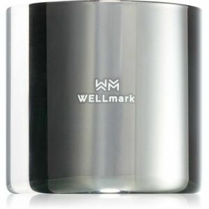 Wellmark Bold Future illatgyertya 1 db kép