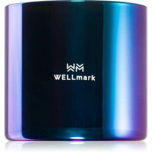 Wellmark Better Silk illatgyertya 1 db kép