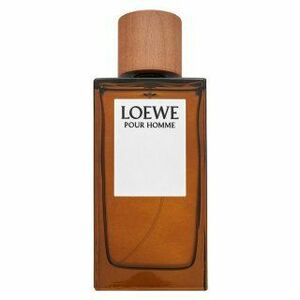 Loewe Pour Homme Eau de Toilette férfiaknak 150 ml kép
