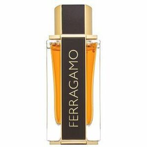 Salvatore Ferragamo Spicy Leather Special Edition Eau de Parfum férfiaknak 100 ml kép