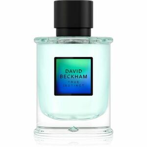 David Beckham True Instinct Eau de Parfum uraknak 75 ml kép