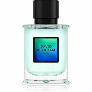 David Beckham True Instinct Eau de Parfum uraknak 50 ml kép