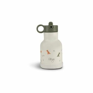 Citron Water Bottle 250 ml (Stainless Steel) rozsdamentes kulacs Dino 250 ml kép