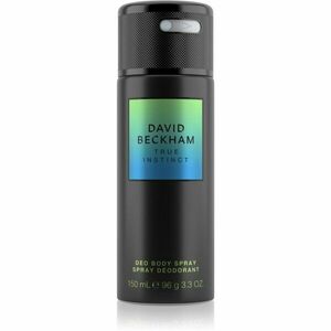 David Beckham Instinct dezodor uraknak kép