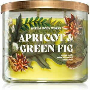 Bath & Body Works Apricot & Green Fig illatgyertya 411 g kép