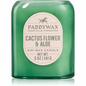 Paddywax Vista Cactus Flower & Aloe illatgyertya 142 g kép