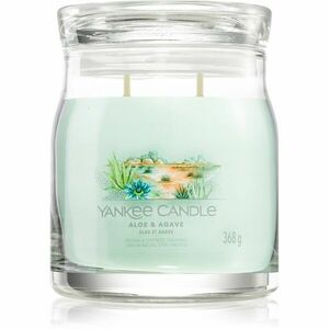 Yankee Candle Aloe & Agave illatgyertya 368 g kép