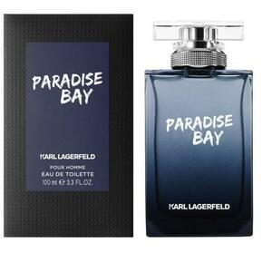 Paradise Bay for Men EDT 100 ml Tester kép