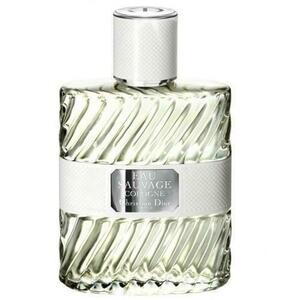 Dior Dior Sauvage Parfum - parfüm 100 ml kép