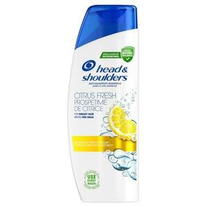 Citrus kivonatú korpásodás elleni sampon zsíros hajra - Head&Shoulders Anti-Dandruff Shampoo Citrus Fresh for Greasy Hair, 330 ml kép