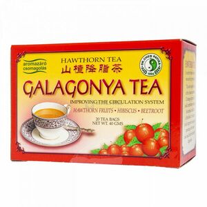 Dr. Chen Hawthorn Galagonya filteres tea 20 x 2 g kép
