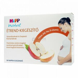 Hipp Natural szirup kismamáknak 600 ml kép