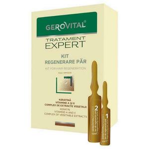 Hajregeneráló Fiola-készlet - Gerovital Tratament Expert Kit for Hair Regeneration Ampoules, 20 fiola kép