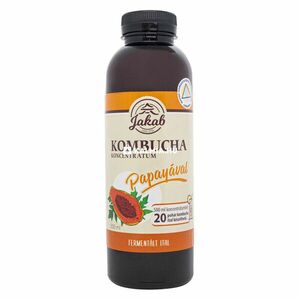 Kombucha tea koncentrátum papayával 500 ml kép