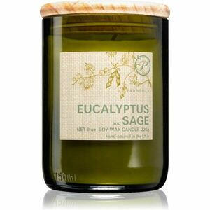Paddywax Eco Green Eucalyptus & Sage illatgyertya 226 g kép