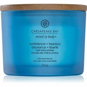 Chesapeake Bay Candle Mind & Body Confidence & Freedom illatgyertya I. 312 g kép