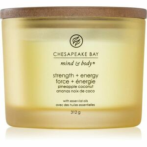 Chesapeake Bay Candle Mind & Body Strength & Energy illatgyertya I. 312 g kép