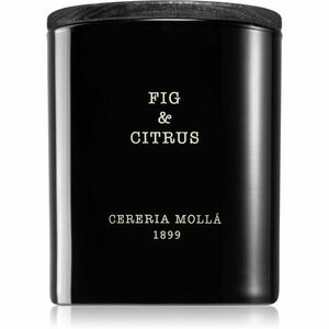 Cereria Mollá Boutique Fig & Citrus illatgyertya 230 g kép