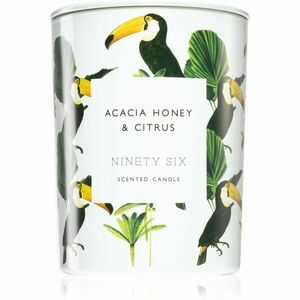 DW Home Ninety Six Acacia Honey & Citrus illatgyertya 413 g kép