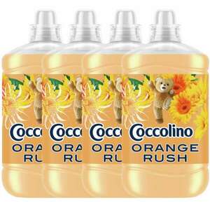 Coccolino Orange Rush Öblítő koncentrátum 272 mosás 4x1700ml kép